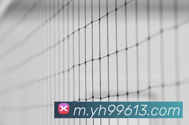 全球热力图